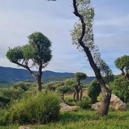 Rénové Pour 6 Pers équipé Dans Résidence Piscine&mer Appartement Serra-di-Ferro (Corsica)