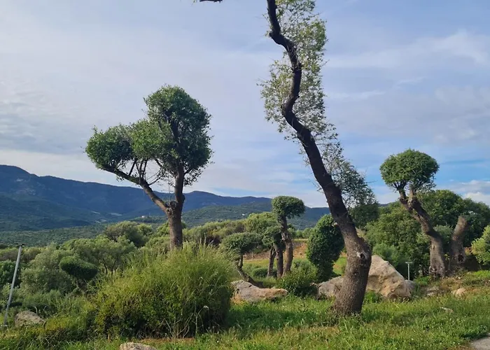 Rénové Pour 6 Pers équipé Dans Résidence Piscine&mer Appartement Serra-di-Ferro (Corsica)